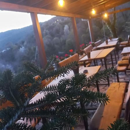 Guesthouse Selini Vitsa Exteriér fotografie