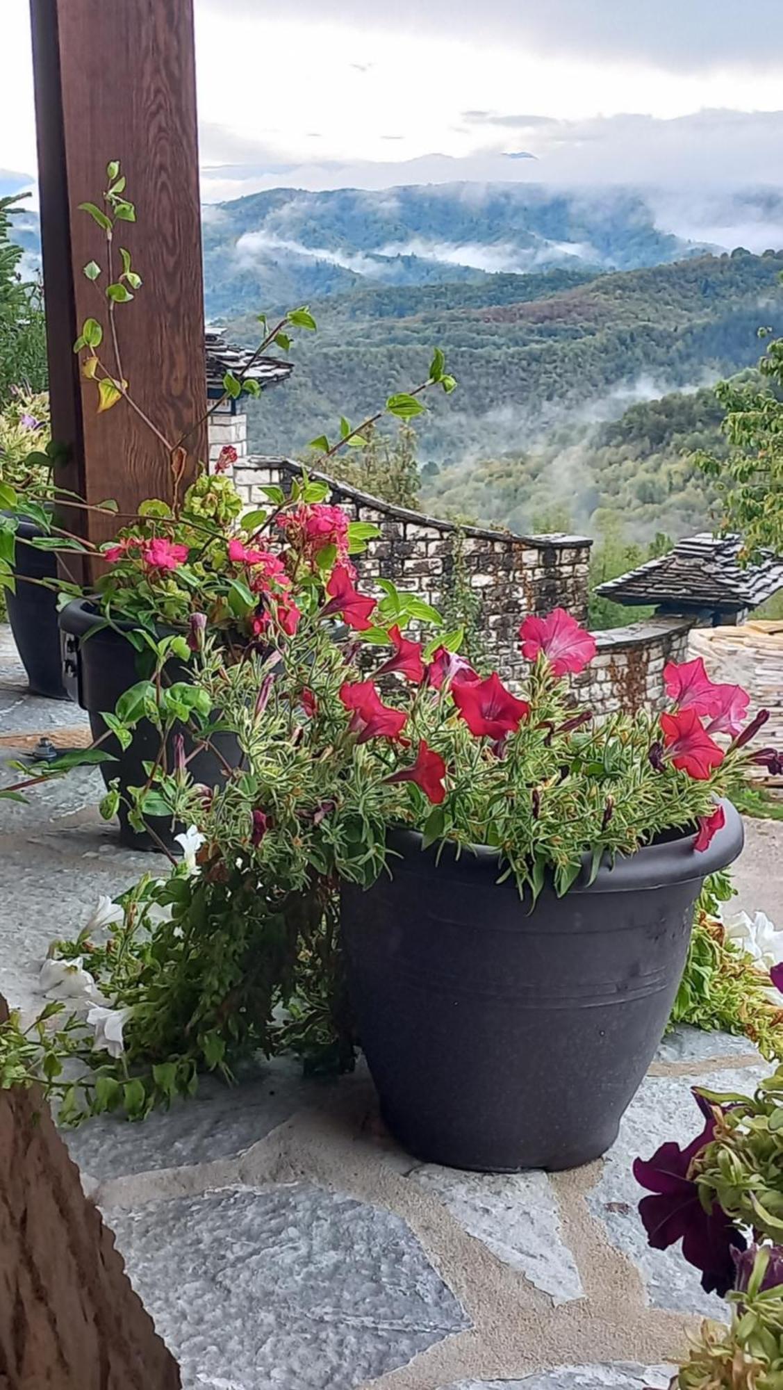 Guesthouse Selini Vitsa Exteriér fotografie